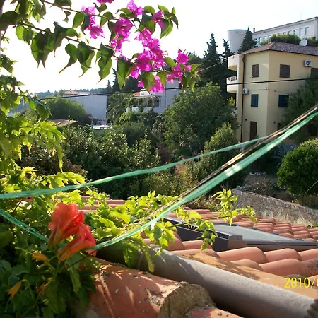 ゲストハウス Surlin 3*