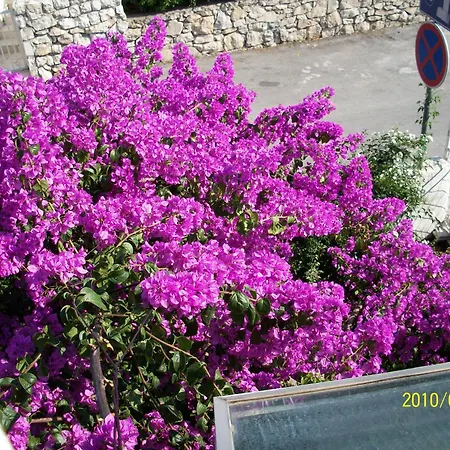 ゲストハウス Surlin