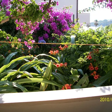 ゲストハウス Surlin フヴァル