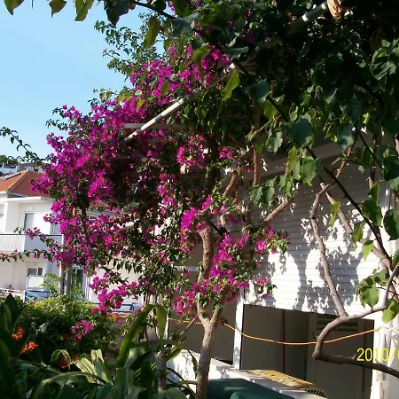Surlin חוואר