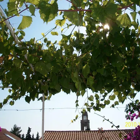 Surlin Guest house