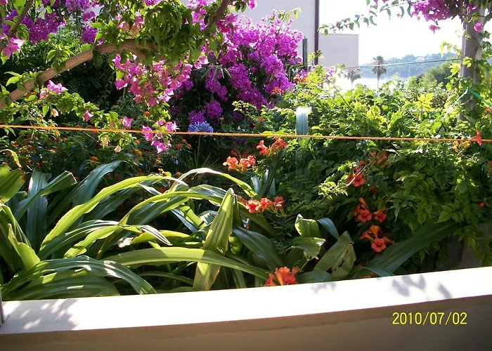 Gasthuis Surlin Hvar Town